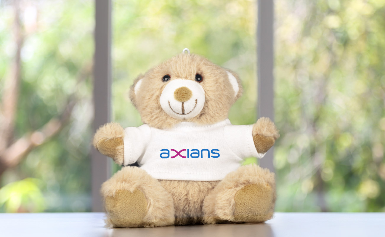 Paws - Gepersonaliseerde Teddyberen gallery thumbnail