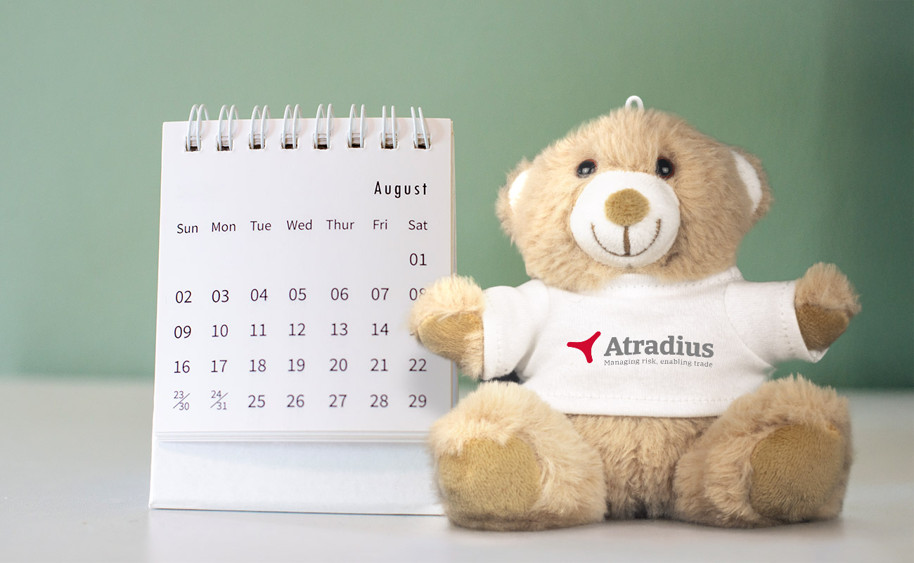 Paws - Promotionele Teddyberen Promotionele producten gallery thumbnail