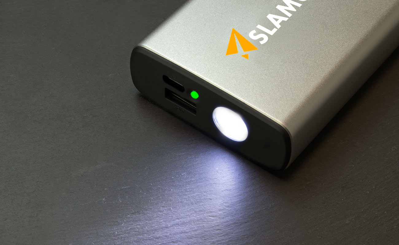 Rex - Powerbank Met Logo gallery thumbnail