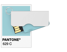 Pantone® Referentie USB stick