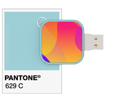 Pantone® Referentie USB stick